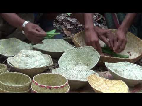 840+ Gambar Rumah Adat Alas HD Terbaru