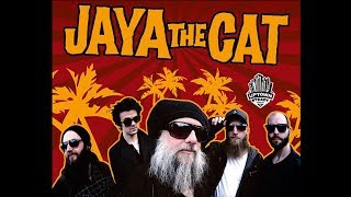 JAYA THE CAT @ MOD (SPb) 30-09-2017