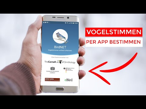 Video: Gibt es eine App, die Vogelrufe erkennt?