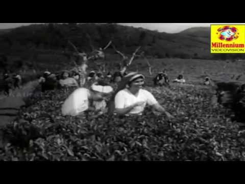 Mamalayile - Malayalam Film Song - Aparadhi