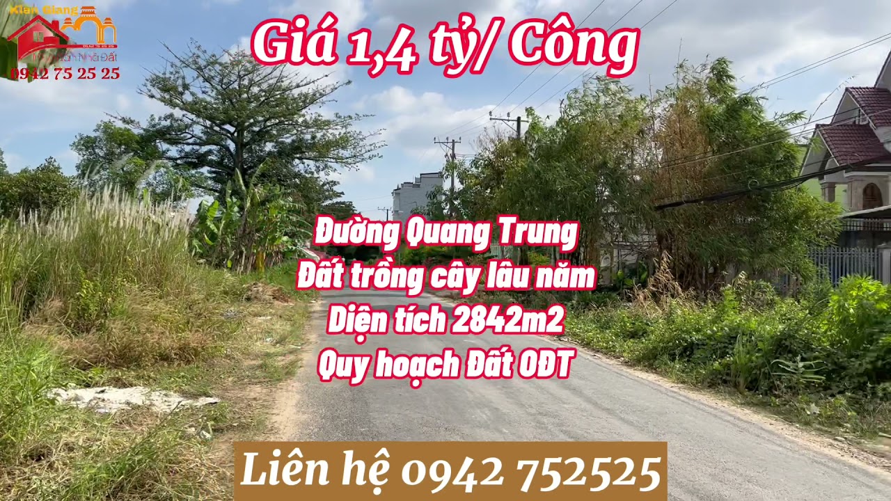 TP Rạch Giá- Bán 2842m2 đất trồng cây lâu năm đường Quang Trung Giá 1,4 Tỷ / Công #nhadatkiengiang