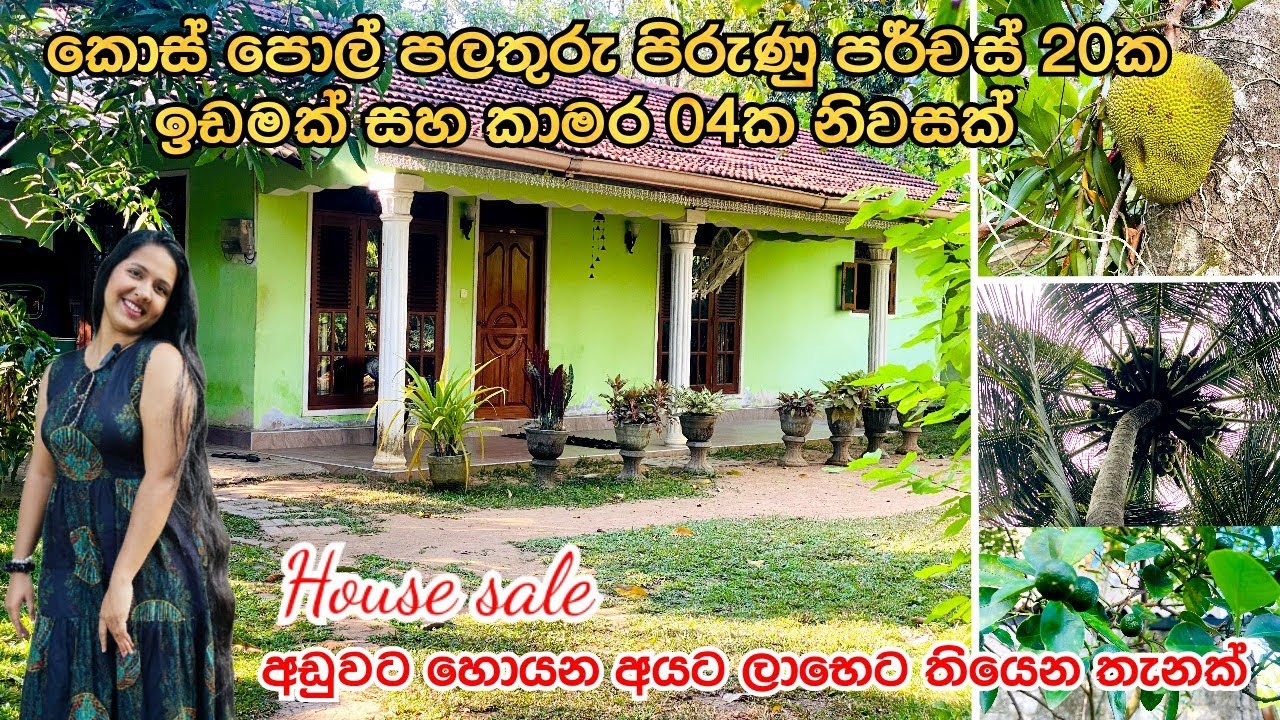කාමර 04ක නිවසක් සහ පර්චස් 20ක ඉඩමක් මුදල් අවශ්‍යතාවය මත විකිණීමට | පොල් කොස් පලතුරු සහිත ලස්සන තැනක්