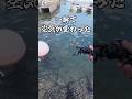 【穴釣り】その瞬間だけ空気が違った #shorts