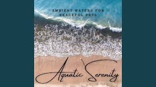 Whispers of Pet's Water Harmony