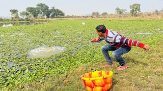 Fishing Video  || Traditional Boy Fishing in The Village Beautiful Pond || Amazing Hook Fishing