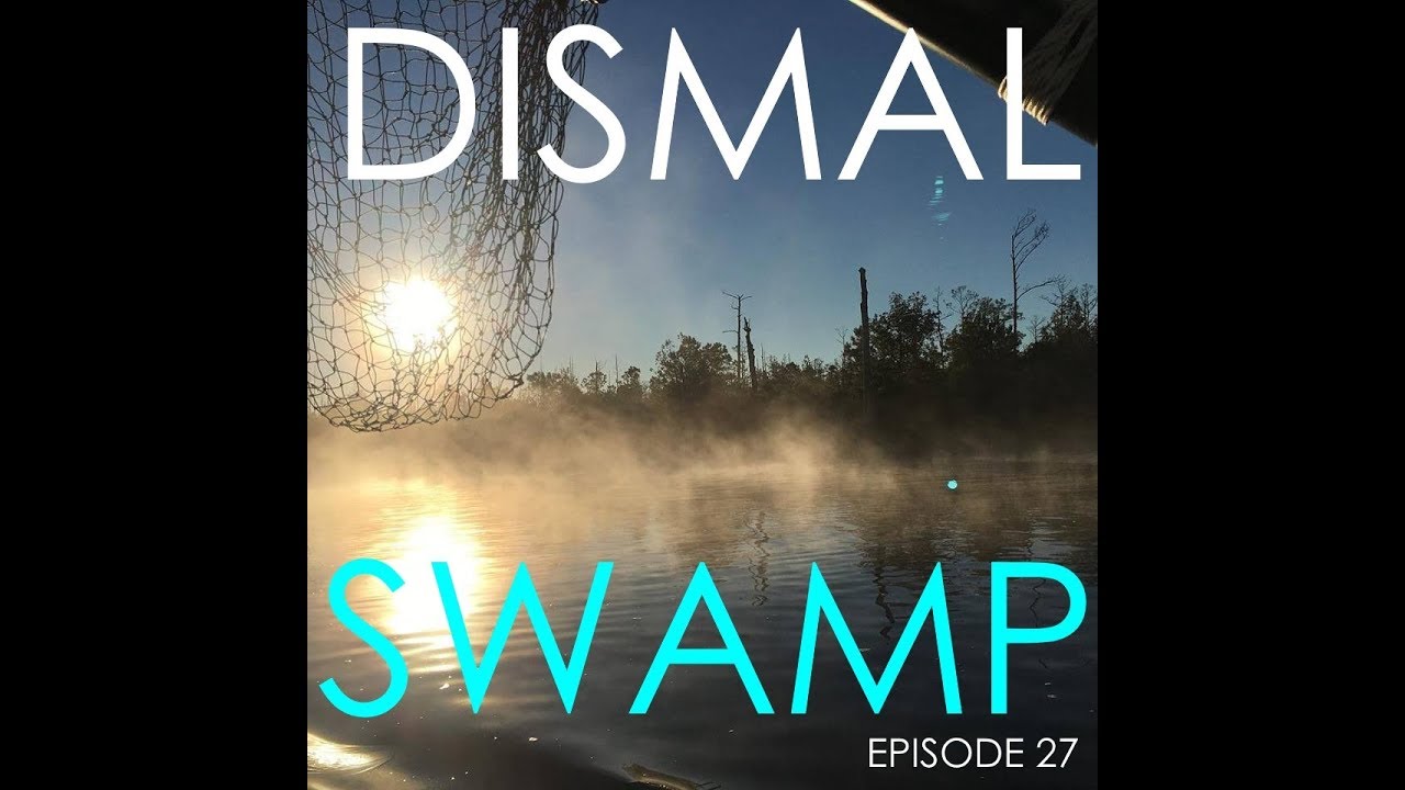 Dismal Swamp – Episode 28 – Lady K Sailing