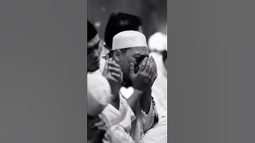 شيخ سعد الغامدي اجمل حالات واتس اب دينية سورة البقرة وإذا سألك عبادي...🌿💙