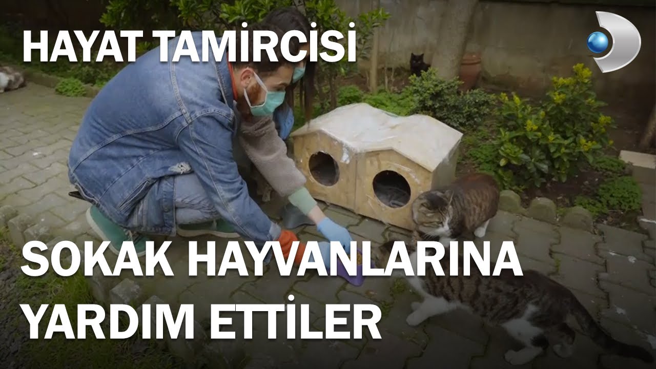 Hayat Tamircisi Ve Veteriner Hekim Esra Sokak Hayvanlarını Beslediler - Hayat Tamircisi 3.Bölüm
