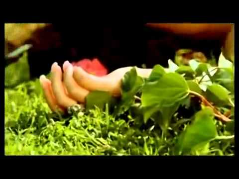 Nertila Vreto Bem Derman 