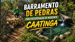 Como Recuperar Nascente na Caatinga com Pedras
