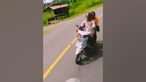 lagu kamoro hidup susah