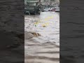 سيول وأمطار مدينة إب أمطار اليمن اليوم الأربعاء 1 4 2026