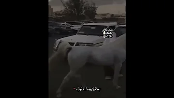 جماله ياعرب فوق الخيالي 