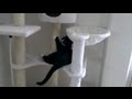 Cat Tree Plans Cat Tree Plans
