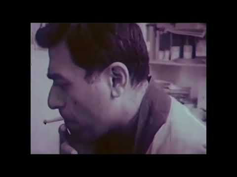 طبیعت بی جان بهمن محصص