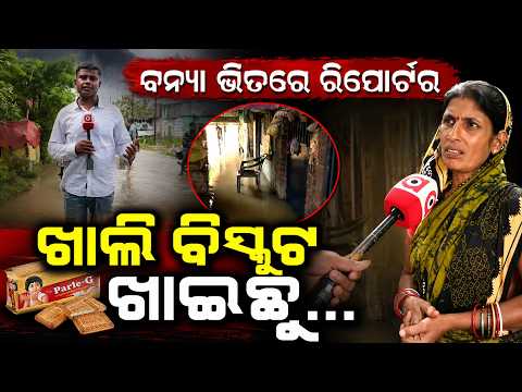 ଖାଲି ବିସ୍କୁଟ ଖାଇଛୁ... | Odisha Flood Crisis | Bhadrak Flood | Heavy Rain Odisha | Argus News