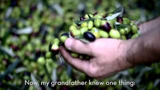 The Story Of Frantoio Muraglia Olive Oil