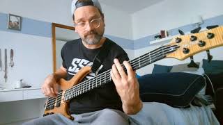 Vulfpeck - Darwin Derby (Bass Cover)