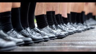 Dr. Joe Schwarcz on the chemistry of shoe polish