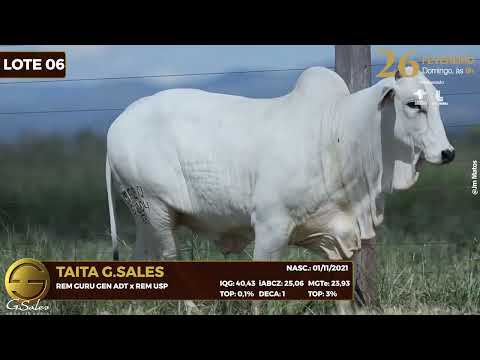 LOTE 06 MFBN 9094