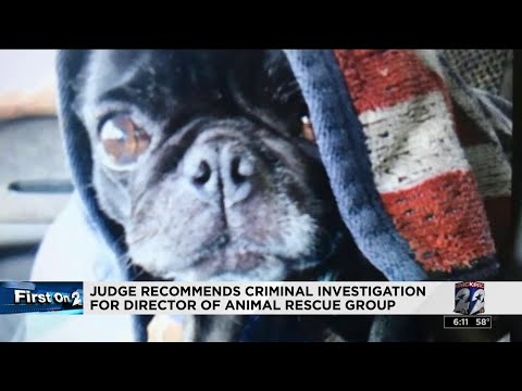 Video: DISKUSIJA: policija nespaudos mokesčių, taigi gelbėjimo grupė siekia teisingumo šuniui, kuris neturi kontrolės.