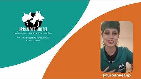 Projeto integrador 2 - UNIVESP - Eixo de computação