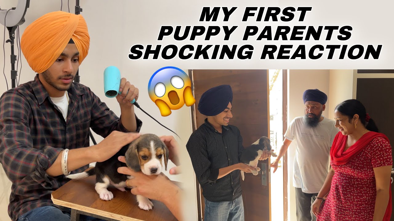 MOM AND DAD's SHOCKING REACTION ON MY FIRST DOG - PRANK GONE WRONG