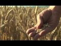 Food Matters Trailer