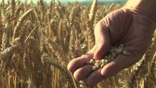 Food Matters Trailer
