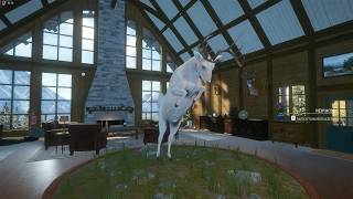 Day 1 of non herd management Great one White Tail.( We got a rare)