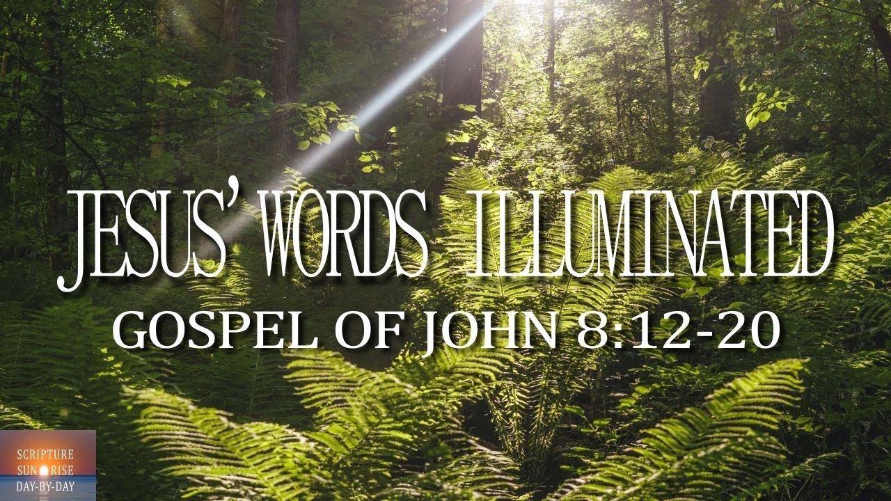 Find Hope in Darkness: The Profound Lessons of John 8 Explained ...