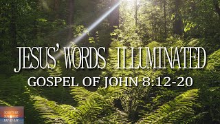 Find Hope in Darkness: The Profound Lessons of John 8 Explained (Christian Inspiration)