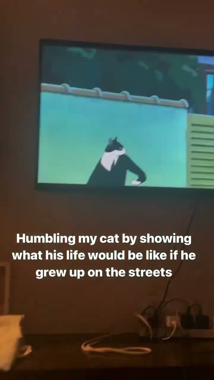 Bro like nah you could of lived like this but I spared u