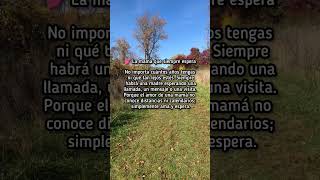 la madre siempre espera...🥺❤️ #amordemadre #amormaterno #amormaternal
