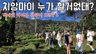 Download Lagu 치앙마이 거주 3년차가 각잡고 고른 관광지 베스트6 (직접 손님 모시고 다녀옴) MP3