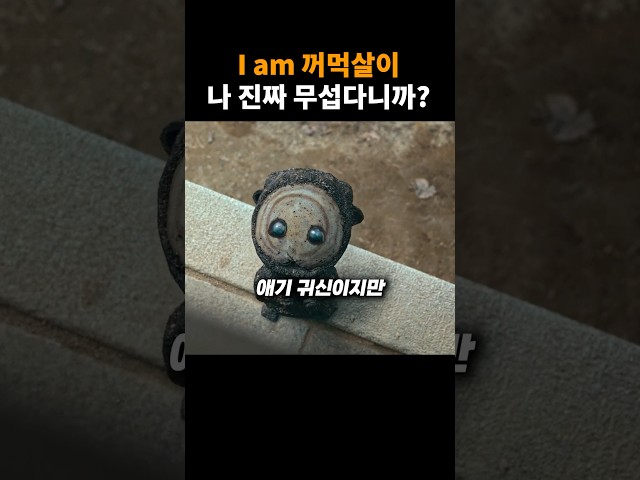 실제로는 더 귀엽다는 꺼먹살이