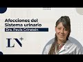 Afecciones del Sistema Urinario - Dra. Paula Grinstein