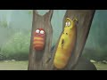 Larva 🐛 | Typhoon 2 🌀 | Funny Animated Cartoon
