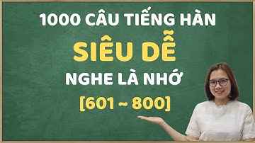 [601 - 800] 1000 Câu tiếng Hàn giao tiếp thông dụng trong đời sống, nghe là nhớ!