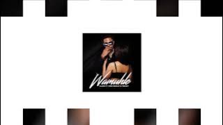 Slade ft. Sino Msolo, Tweezy & Yumbs - Wamuhle (Visualizer)