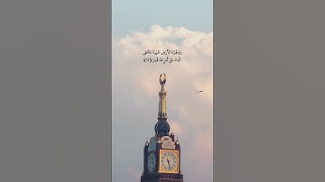 فدعا ربه اني مغلوب فانتصر 🌿 تلاوة خاشعة تفوق الوصف لفضيلة الشيخ د. #ياسر_الدوسري  👍🏻😍