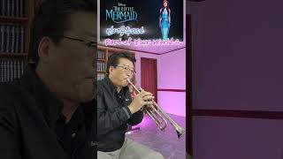 #Part of Your World 2 #little mermaid ost #인어공주ost  #trumpet