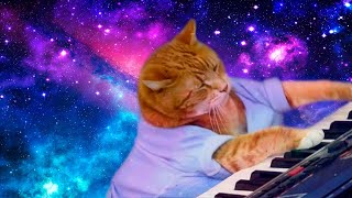 Кот играет на пианино 10 часов | Keyboard Cat 10 Hours