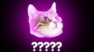14 Kitten "MEOW" Sound Variations in 32 Seconds