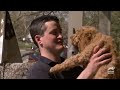 Bunnies, Duckies, Lambs & More! | Too Cute! | Animal Planet