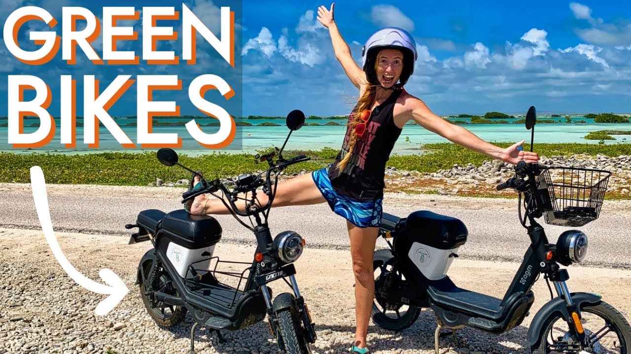 The BEST WAY to travel BONAIRE! [Ep64 RED SEAS]