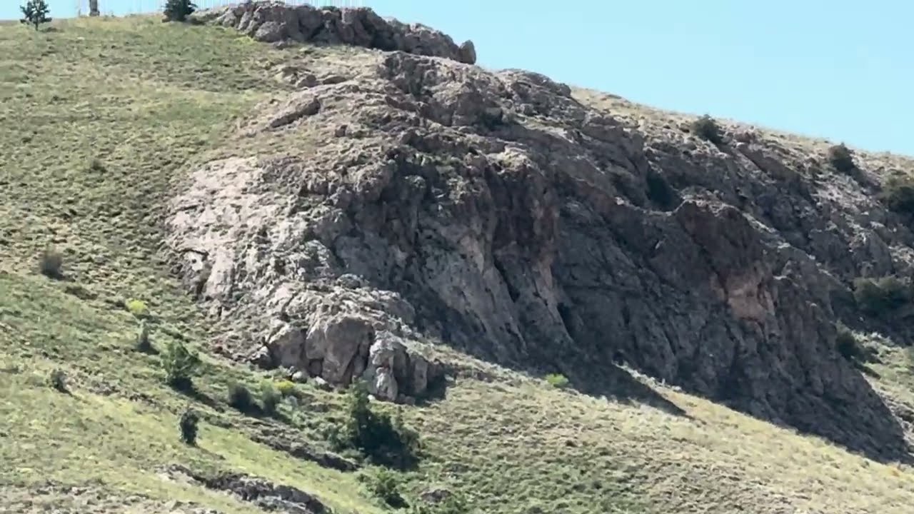 Ortaköy / Şarkışla / Sivas