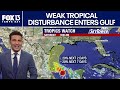 Weak tropical disturbance enters Gulf