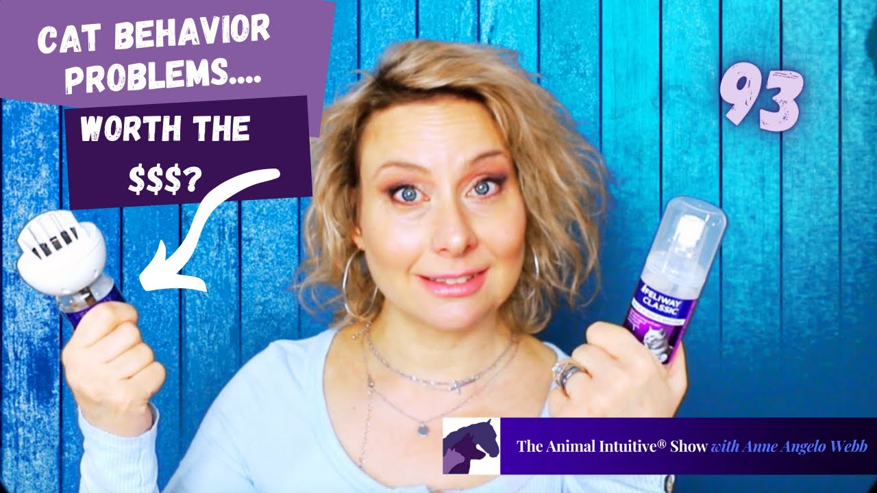 Feliway Pheromones-My Cats Happier?⏰stamped | Ep 93