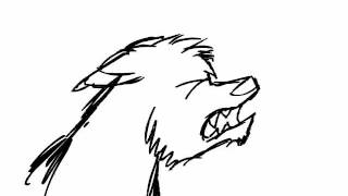 wolf flash animation